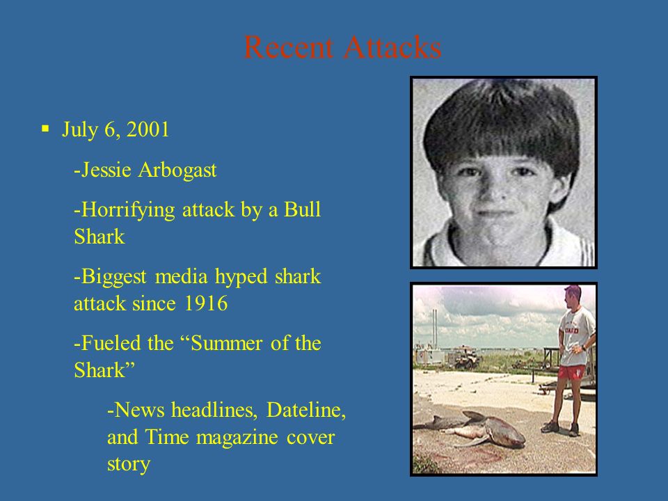 The media hype on shark attacks